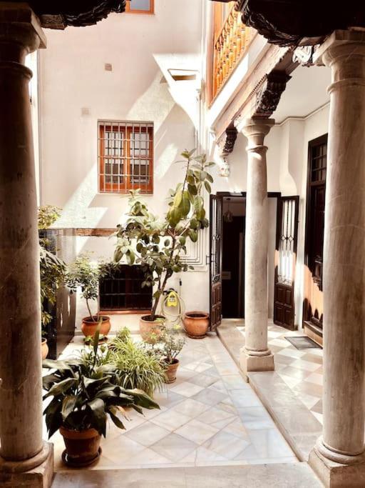 Charming Spacious Albayzin Apartment Granada Exterior photo